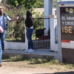 Investigan envenenamiento masivo de perros en Sonora