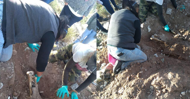 Colectivo de Buscadoras realizan el hallazgo de una fosa clandestina con al menos dos cadáveres en San José de Guaymas