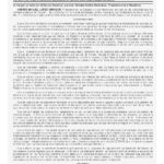 decreto-1-pdf
