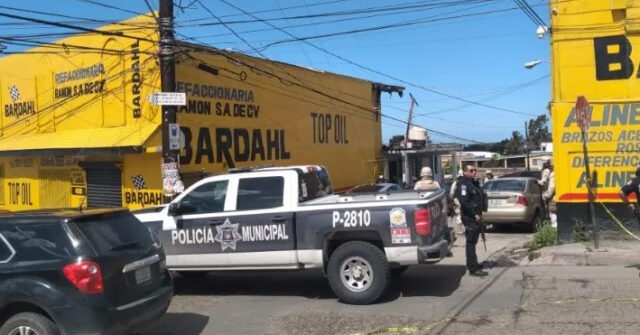 Descubren cargamento de marihuana y metanfetamina en la colonia Nuevo Nogales