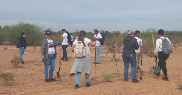 Crean colectivo "Jóvenes Buscadores" para ayudar a encontrar personas desaparecidas