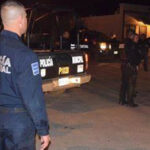 polis-4