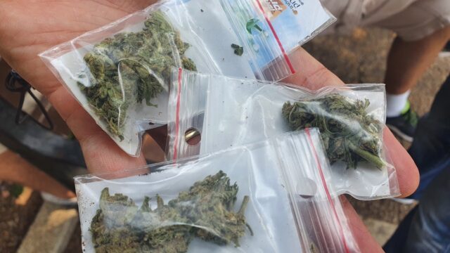 Un total de 44 porciones de marihuana aseguraron policías y militares.