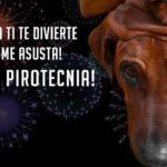 cohetes