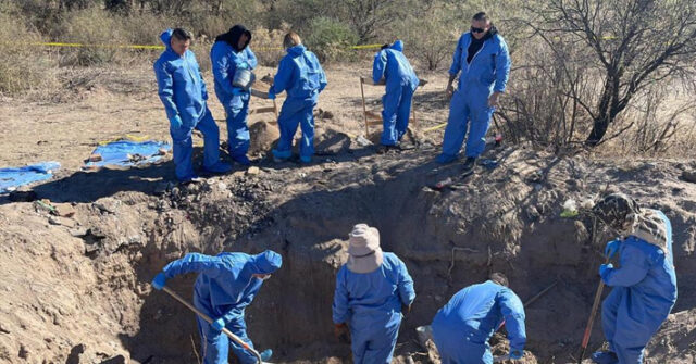 Suman ocho cadáveres los recuperas en la fosa clandestina localizada por buscadoras en Santa Ana