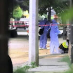 muerto-