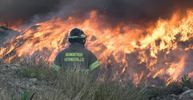 Bomberos de Hermosillo sofocaban un incendio de maleza y se toparon con un muerto y un herido.