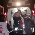 HERIDO-1