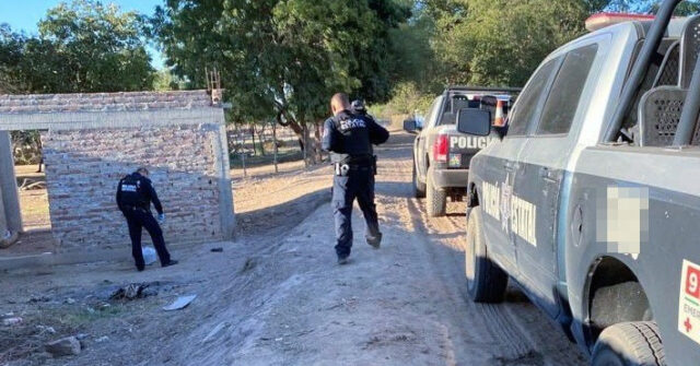 Asegura Policía Estatal 167 paquetes de hierba verde en Bácum