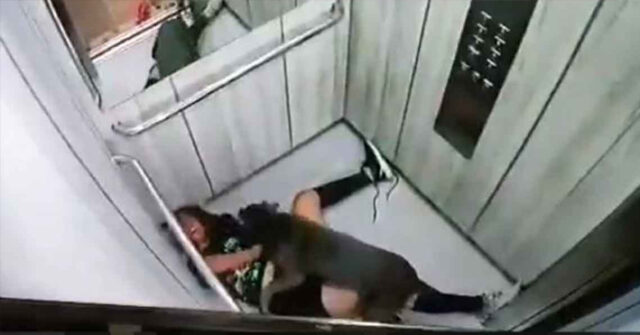 Captan brutal ataque de pitbull en contra de una mujer en un elevador
