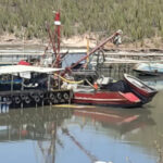 barco-1