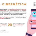 ciberdelitos