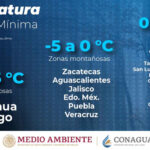 clmia
