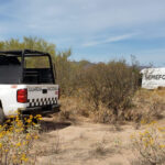 fosas-1