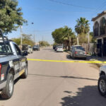 polis-3