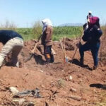 valle-del-yaqui