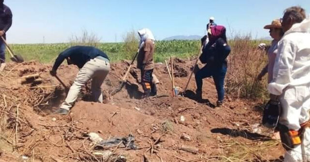 Colectivo de Buscadoras localizan cinco cadáveres en el Valle del Yaqui