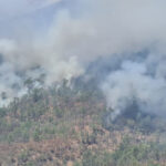 INCENDIO-6