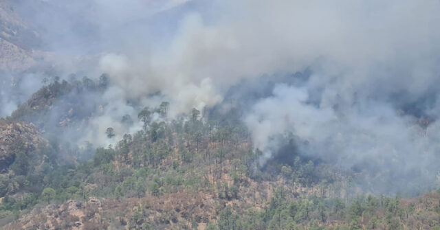 Incendio forestal en Sahuaripa podría superar en poco tiempo al de Álamos