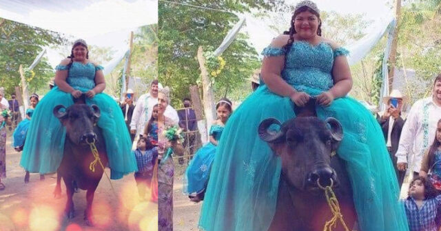 Jovencita llega montada en un búfalo durante su fiesta de XV años