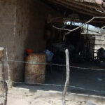 pila