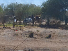 Buscadoras localizan fosa clandestina con al menos un cadáver al Sur de Sonora