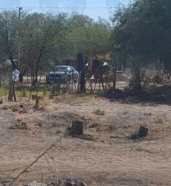 Buscadoras localizan fosa clandestina con al menos un cadáver al Sur de Sonora