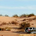 muerta-1