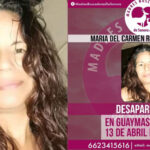 desaparece-2