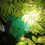 droga-3