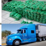 drogas-1
