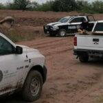 valle-del-yaqui