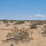 las-antenas