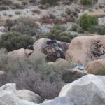FB_IMG_1671432127636-1