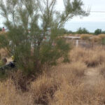 accidente