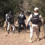 nogales