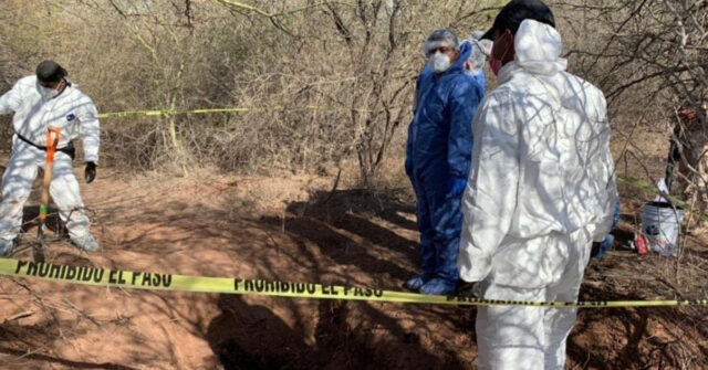 Localizan fosa clandestina con al menos dos cadáveres en el Valle de Guaymas.