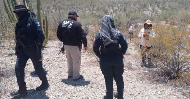 Colectivo de Buscadoras descubren cadáver en la región de Altar