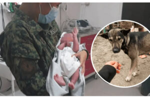 Perrito salva la vida de bebé recién nacido abandonado