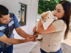 Realizan con éxito jornada de vacunación canina y felina; se realizó en Palacio Municipal Realizan con éxito jornada de vacunación canina y felina; se realizó en Palacio Municipal.