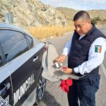 Solicitan apoyo para localizar a conductor que atropelló y mató a una persona