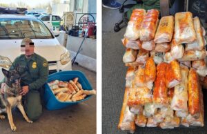 Intercepta Patrulla Fronteriza cargamento de Fentanilo Con el uso de binomio canino se logró asegurar 38.5 kilogramos de Fentanilo.