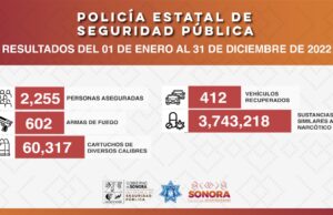 Más de 600 armas de fuego fueron incautadas durante operativos de la PESP