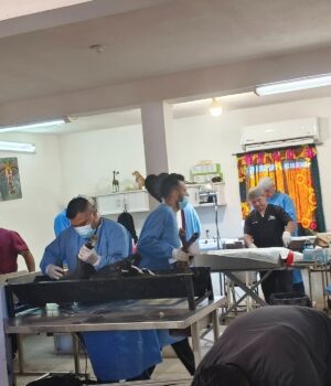 Invita Gobierno de Empalme a jornada gratuita de esterilización canina y felina, será mañana Invita Gobierno de Empalme a jornada gratuita de esterilización canina y felina, será mañana