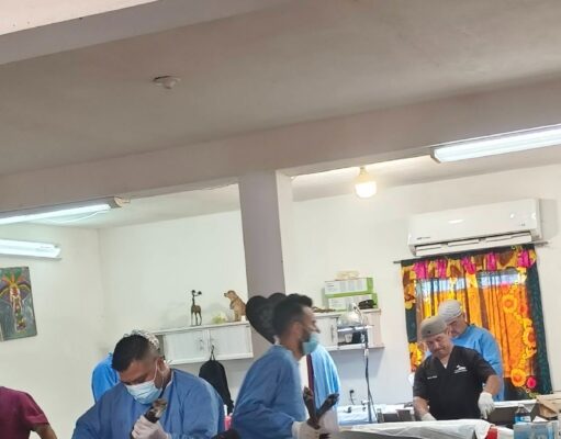 Invita Gobierno de Empalme a jornada gratuita de esterilización canina y felina, será mañana Invita Gobierno de Empalme a jornada gratuita de esterilización canina y felina, será mañana