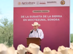 Con apoyo de presidenta Sheinbaum, Gobernador Durazo inicia construcción de Subasta ganadera de la sierra en Moctezuma Con apoyo de presidenta Sheinbaum, Gobernador Durazo inicia construcción de Subasta ganadera de la sierra en Moctezuma