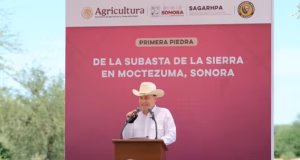 Con apoyo de presidenta Sheinbaum, Gobernador Durazo inicia construcción de Subasta ganadera de la sierra en Moctezuma Con apoyo de presidenta Sheinbaum, Gobernador Durazo inicia construcción de Subasta ganadera de la sierra en Moctezuma