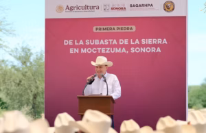 Con apoyo de presidenta Sheinbaum, Gobernador Durazo inicia construcción de Subasta ganadera de la sierra en Moctezuma Con apoyo de presidenta Sheinbaum, Gobernador Durazo inicia construcción de Subasta ganadera de la sierra en Moctezuma