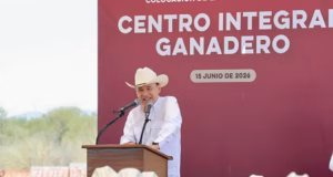 Respiro para ganadería: arranca Durazo obra estratégica para industrialización de la carne sonorense Respiro para ganadería: arranca Durazo obra estratégica para industrialización de la carne sonorense
