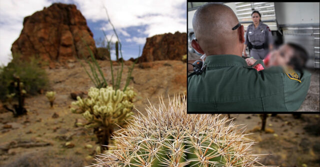 "Polleros" dejan a dos bebés abandonados en el desierto